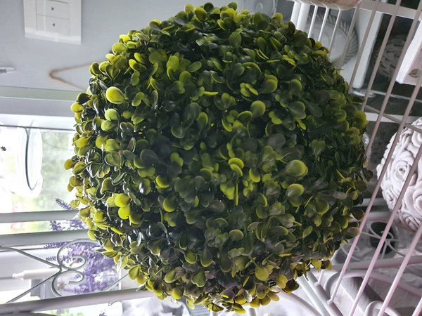 Buchsbaum-Kugel "Ball"  28 cm