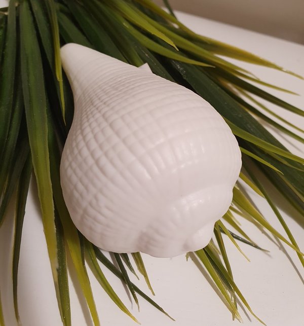 Muschel Keramik "weiß" Schnecke